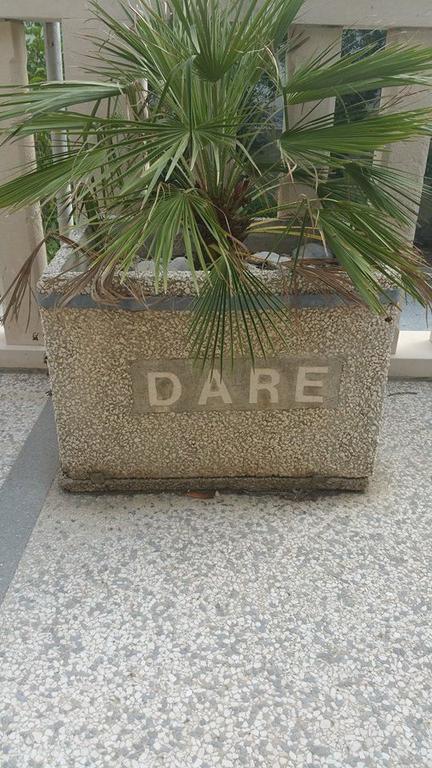 Apartment Dare *